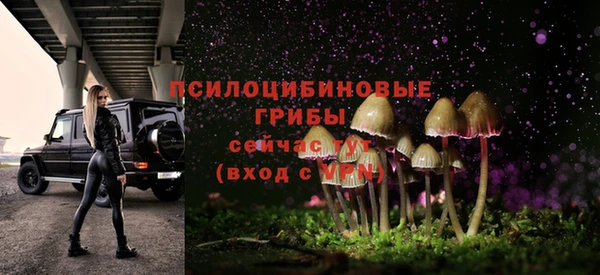 трава Аркадак