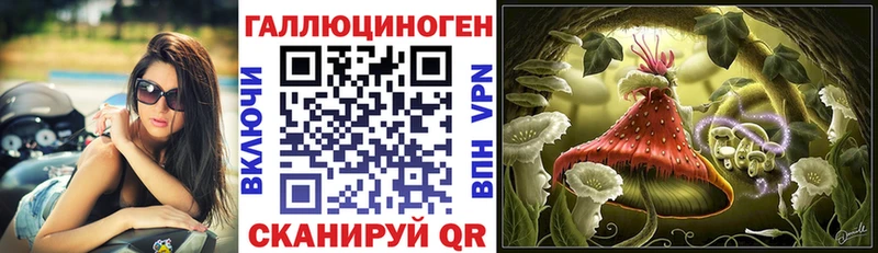 Псилоцибиновые грибы Cubensis  хочу наркоту  Гвардейск 